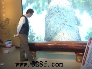 600萬元！海南千年花梨木王（圖文）