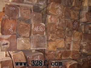 花枝（巴里黃檀）－－隆興