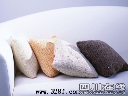 太平園家私布下雙節(jié)促銷陣勢(shì)(組圖)