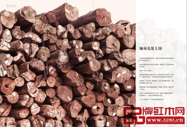 國(guó)壽紅木的緬甸花梨王國(guó)