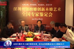 全國木雕藝術(shù)大咖齊聚泰和園 深圳絲翎檀雕成當(dāng)代木雕新名片（視頻）
