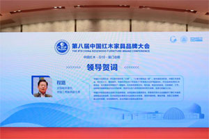 全國(guó)政協(xié)委員程路：秉承文化自信，走出紅木新天地