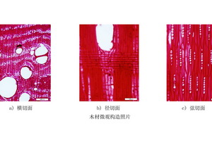 再識(shí)“緬甸花梨”家具