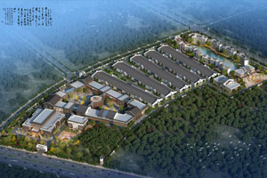 國壽紅木：向著高度化、高效化的模式發(fā)展