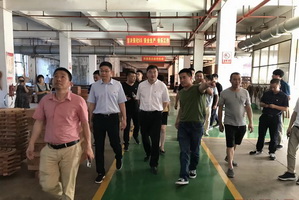 東陽市委書記和近百家規(guī)上企業(yè)齊聚雙洋紅木看環(huán)保