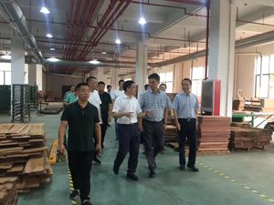 鞏固再提升，金華市政協(xié)副主席參觀指導(dǎo)新明紅木環(huán)保工作