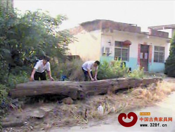 湖口發(fā)現(xiàn)1500年歷史烏木 湖口發(fā)現(xiàn)1500年歷史烏木