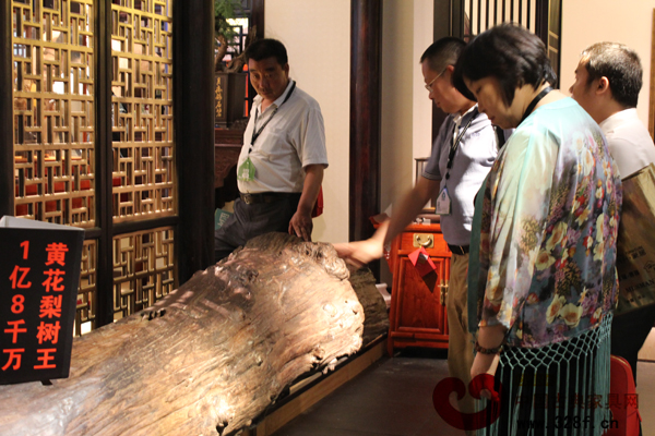 戴為紅木展廳內(nèi)擺放的價(jià)值1億8千萬(wàn)的黃花梨樹(shù)王吸引不少參觀者駐足 戴為紅木展廳內(nèi)擺放的價(jià)值1億8千萬(wàn)的黃花梨樹(shù)王吸引不少參觀者駐足