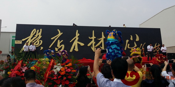 橫店名貴木材中心揭牌儀式盛大舉行 橫店名貴木材中心揭牌儀式盛大舉行