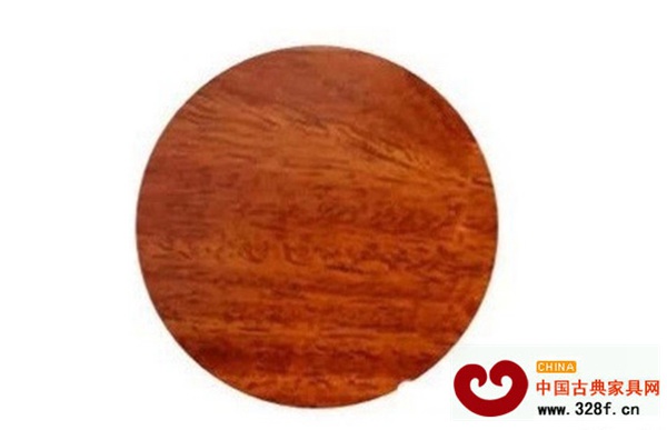 大果紫檀 大果紫檀