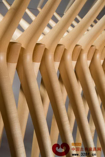 超乎想象的骨骼之桌