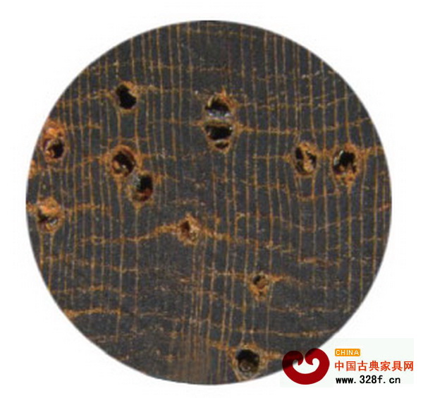 交趾黃檀實木橫切面 交趾黃檀實木橫切面