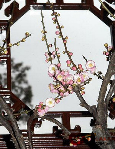 蘇式花窗之和合窗 蘇式花窗之和合窗