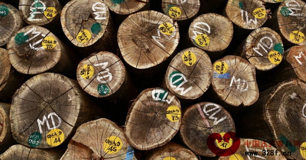 2014年1月31日,緬甸仰光,木頭堆積在一座寺廟的院子里 2014年1月31日,緬甸仰光,木頭堆積在一座寺廟的院子里