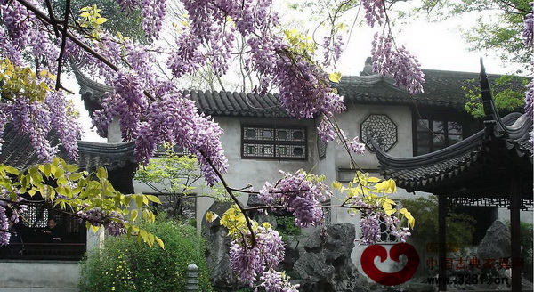 蘇州園林景色宜人 蘇州園林景色宜人