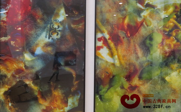 食物霉變引起的色彩變化與奇異形態(tài)，美不勝收