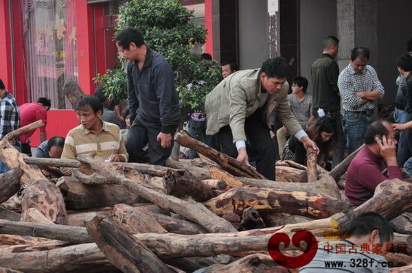 眾多從事紅木家具生產(chǎn)制作的人員在搶先挑選紅木原料