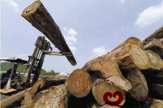 由于市場供應(yīng)量關(guān)系,木材價格不斷上調(diào) 由于市場供應(yīng)量關(guān)系,木材價格不斷上調(diào)