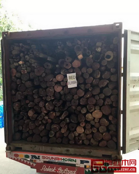本次事件截獲的掛車貨柜內(nèi)的紫檀原木 本次事件截獲的掛車貨柜內(nèi)的紫檀原木