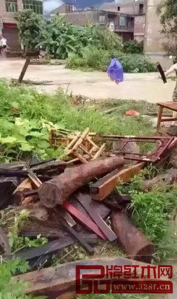 仙游遭臺(tái)風(fēng)侵襲紅木被洪水沖走