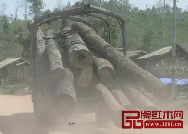 木材裝車(chē)運(yùn)輸 木材裝車(chē)運(yùn)輸