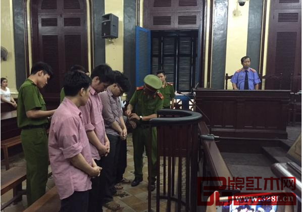 越南政府打擊木材走私力度不斷加大,走私犯一律被送上法庭審判 越南政府打擊木材走私力度不斷加大,走私犯一律被送上法庭審判