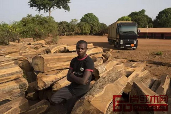 今年9月7日起,幾內(nèi)亞全面禁止原木的商業(yè)化、工業(yè)化采伐、運(yùn)輸和出口 今年9月7日起,幾內(nèi)亞全面禁止原木的商業(yè)化、工業(yè)化采伐、運(yùn)輸和出口