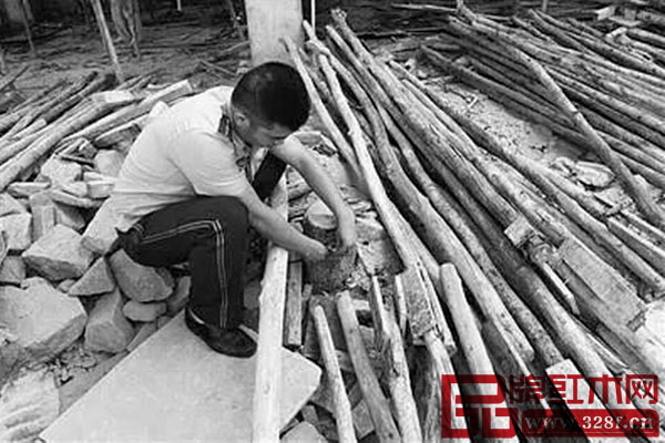 民警測量被盜花梨樹基徑