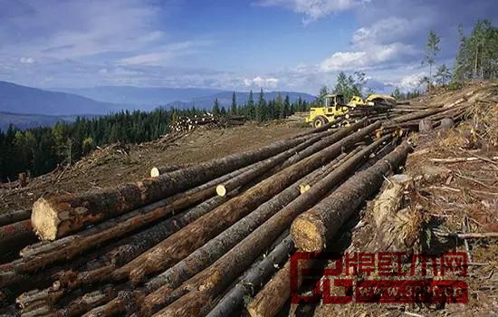 木材出口對加美兩國來說都是重要的經(jīng)濟組成部分 木材出口對加美兩國來說都是重要的經(jīng)濟組成部分