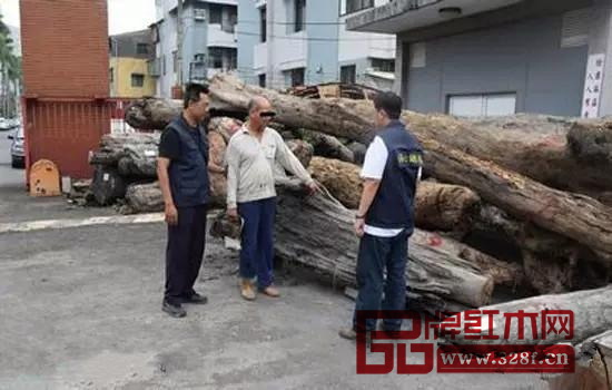 警方查處私自侵占漂流木材的人員 警方查處私自侵占漂流木材的人員