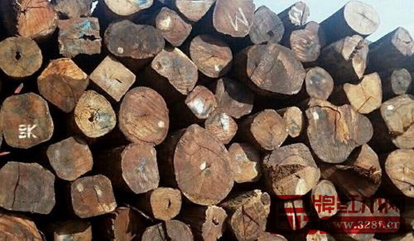 大果紫檀(緬甸花梨) 大果紫檀(緬甸花梨)