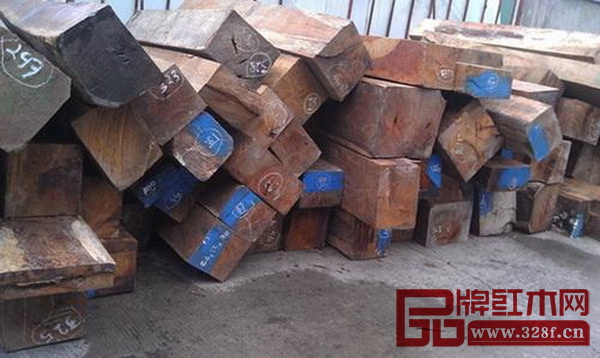 鳥足紫檀 鳥足紫檀