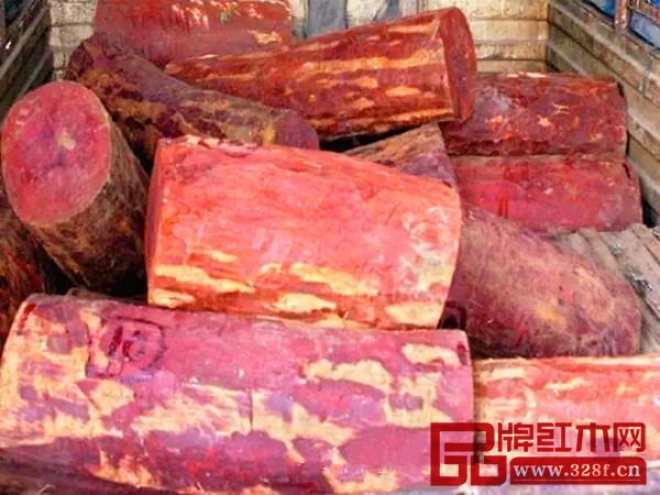 被查獲的33根紫檀原木