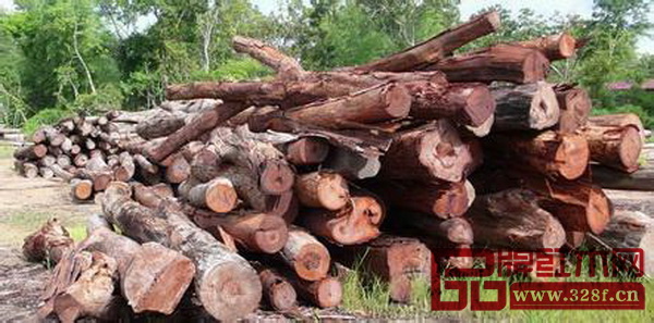 大紅酸枝原木價格瘋狂