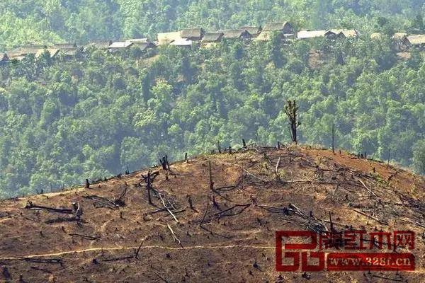 湄公河流域的木材已所剩無(wú)幾 湄公河流域的木材已所剩無(wú)幾