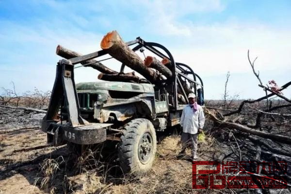 正在運(yùn)輸中的木材 正在運(yùn)輸中的木材