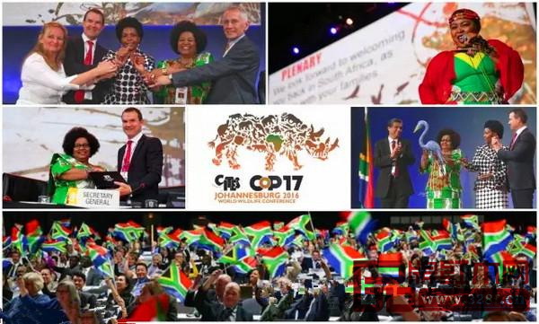 CITES大會上,不少木種被列入瀕危管制 CITES大會上,不少木種被列入瀕危管制