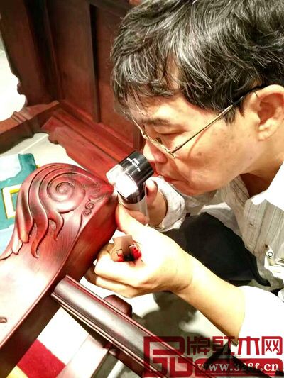 著名木材檢驗鑒定專家陳少仁對醉木苑的紅木家具進行細致地逐木檢驗 著名木材檢驗鑒定專家陳少仁對醉木苑的紅木家具進行細致地逐木檢驗