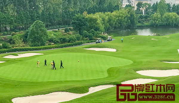 全明星高爾夫公益賽比賽現(xiàn)場 全明星高爾夫公益賽比賽現(xiàn)場