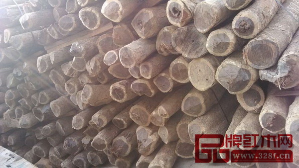 大量的雞翅木原木 大量的雞翅木原木