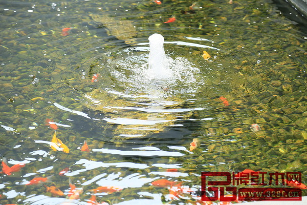 新展廳6層的私人會所里有一方小池,池水叮咚,錦鯉暢游 新展廳6層的私人會所里有一方小池,池水叮咚,錦鯉暢游