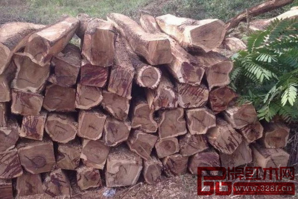 尼日利亞的刺猬紫檀鋸枋木 尼日利亞的刺猬紫檀鋸枋木