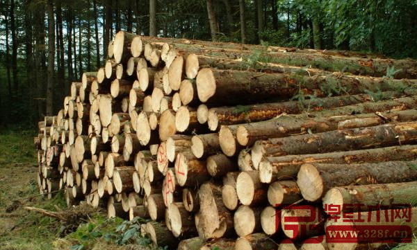 為加強(qiáng)對(duì)森林管護(hù),中國(guó)建立了木材監(jiān)管體系 為加強(qiáng)對(duì)森林管護(hù),中國(guó)建立了木材監(jiān)管體系
