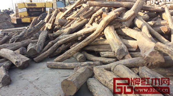闊葉黃檀原材料市場走俏 闊葉黃檀原材料市場走俏
