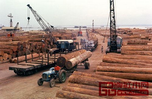 2016年以來,多個原木出口國出臺禁令或限制木材出口,引起中國紅木圈的高度關(guān)注 2016年以來,多個原木出口國出臺禁令或限制木材出口,引起中國紅木圈的高度關(guān)注