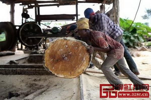 尼日利亞非法木材采伐難以控制,目前該國的森林資源經(jīng)營已處于不可持續(xù)的經(jīng)營狀態(tài) 尼日利亞非法木材采伐難以控制,目前該國的森林資源經(jīng)營已處于不可持續(xù)的經(jīng)營狀態(tài)