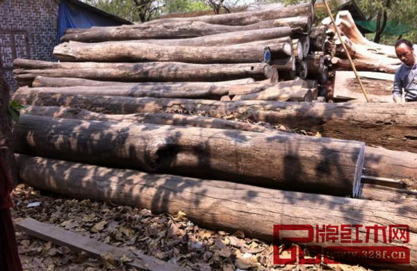 大量的紅木原材 大量的紅木原材