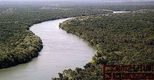 莫桑比克森林資源豐富