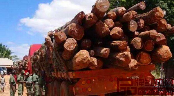 去年年底，莫桑比克宣布2017年開(kāi)始全面禁止伐木