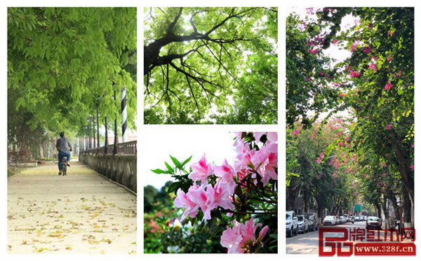 人間最美四月天，此時(shí)的中山，美得不要不要的